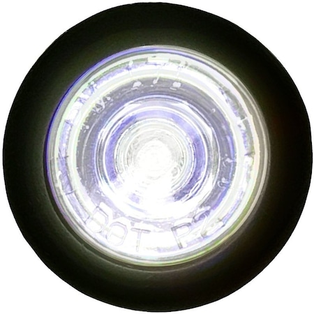 Pm Company Utility Light, 12 V, LED Lamp, Clear Lamp V171C