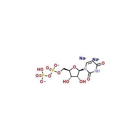 Ak Scientific Uridine 5'-diphosphate disodium salt (5g), CAS 27821-45-0 E599-5g