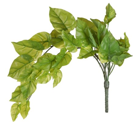 Vickerman 24 in. Green Pothos Bush Vine FQ181401