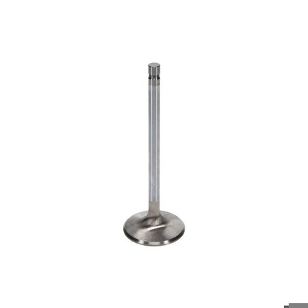 Manley VLV SEV DUTY SBC INT (8) 11544-8