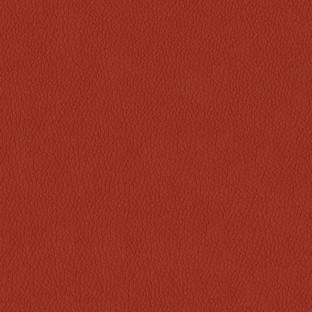 Abbeyshea Rust, Polyurethane Coated Faux Leather Fabric, 9 in L, 9 in W MIAMI14M9X9