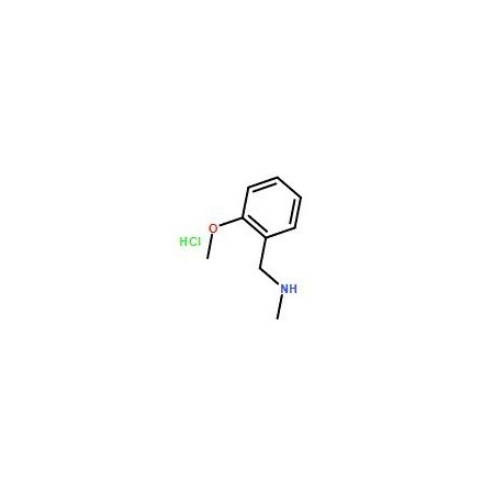 Ak Scientific Methyl 2-methoxybenzylamine HCl (1g), CAS 181880-42-2 7542AJ-1g