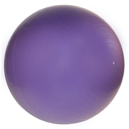 Fitnessfreak Professional Exercise Ball 65cm - Purple FI80963