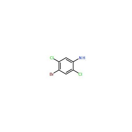 Ak Scientific 4-Bromo-2, 5-dichloroaniline (25g), CAS 1940-27-8 Z0325-25g