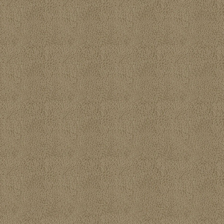 Abbeyshea Taupe, Polyurethane Coated Faux Leather Fabric, 9 in L, 9 in W BALDW6009M9X9