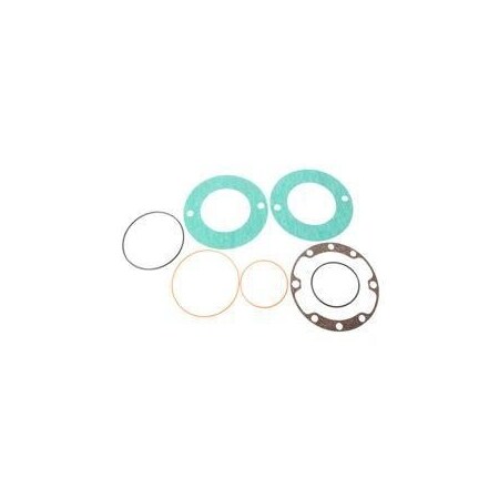 Jlg REPLACEMENT SEAL KIT, BRAKE TURNTABLE 70006833