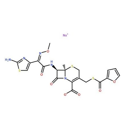 Ak Scientific Ceftiofur sodium (1g), CAS 104010-37-9 G642-1g