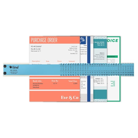C-Line Products 2-1/2" x 23-1/2" Plastic All-Purpose Document Sorter, 1/EA 30526