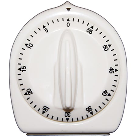 Ashley Productions Standard Timer ASH10207