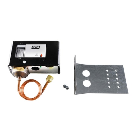 Johnson Controls 20 in. /100# 120sec MR 3'cap #SW P29NC-38