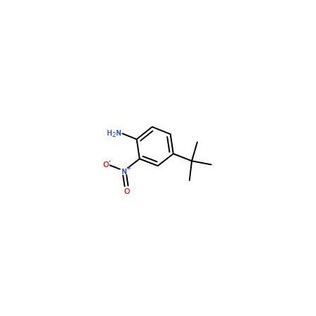 Ak Scientific 4-(tert-Butyl)-2-nitroaniline (1g), CAS 6310-19-6 X7127-1g