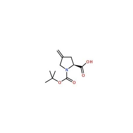 Ak Scientific N-Boc-4-methylene-L-proline (10g), CAS 84348-38-9 Z5167-10g