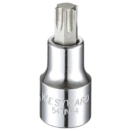 Westward 1/2 in Drive Torx(R) Socket Bit SAE T50 Tip, 2 1/2 in L 54TN54