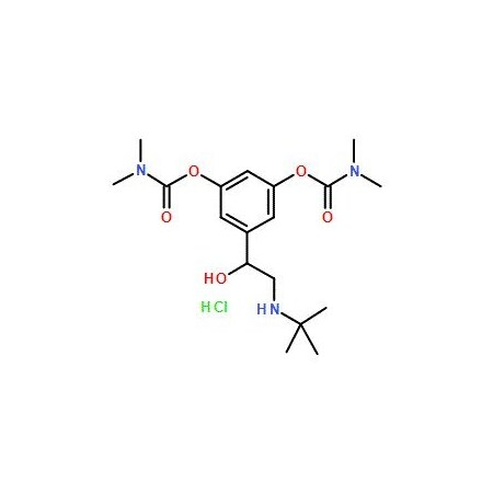 Ak Scientific Bambuterol HCl (10g), CAS 81732-46-9 G311-10g