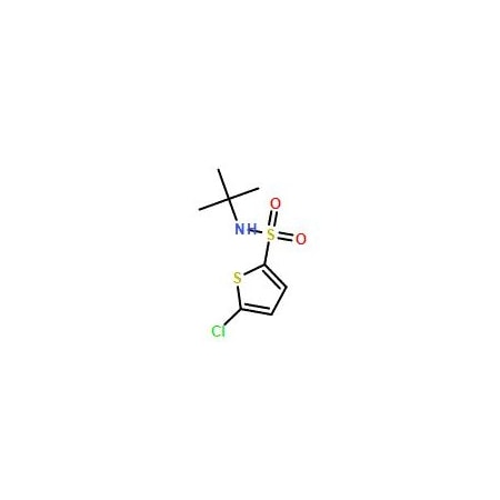 Ak Scientific 5-Chloro-N-tert-butyl-2-thiophene-sulfonamide (25g), CAS 155731-14-9 V0666-25g