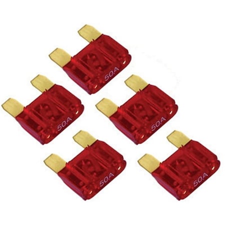 Xscorp 100 Amp Fuses, 5PK MXF100