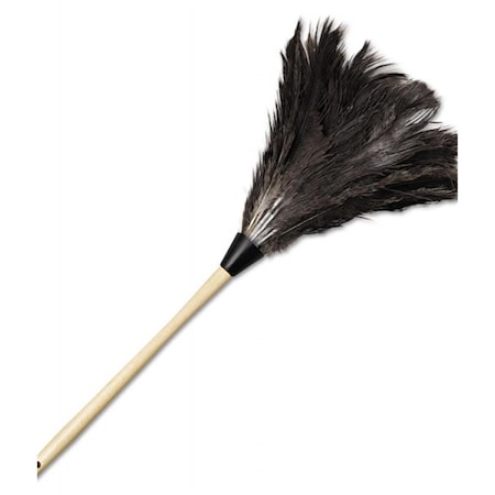 Pinpoint Professional Ostrich Feather Duster with 13 in. Wood Handle - Natural PI2659290