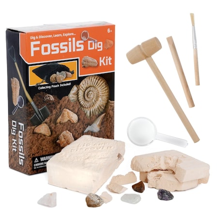Amscope Kid's Dig and Discover Genuine Fossils - Dig Activity Kit KT-FDIG