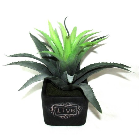 Vaser Designs 11 in. Artifical Succulent Garden VA3560976