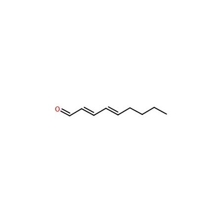Ak Scientific trans, trans-2, 4-Nonadienal (25g), CAS 5910-87-2 R555-25g