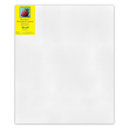 Strathmore 300 Series Traditional Stretched Canvas, 20x24 inch P313-20