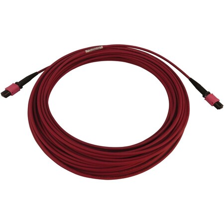 Eaton Tripp Lite Series 100G Multimode 50/125 OM4 Fiber Optic Cable 12F MTP/MPO-PC F/F, LSZH, N845B-15M-12-MG