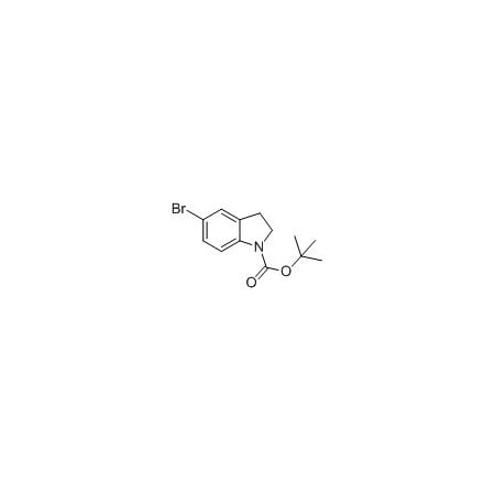 Ak Scientific tert-Butyl 5-bromoindoline-1-carboxylate (5g), CAS 261732-38-1 W4954-5g