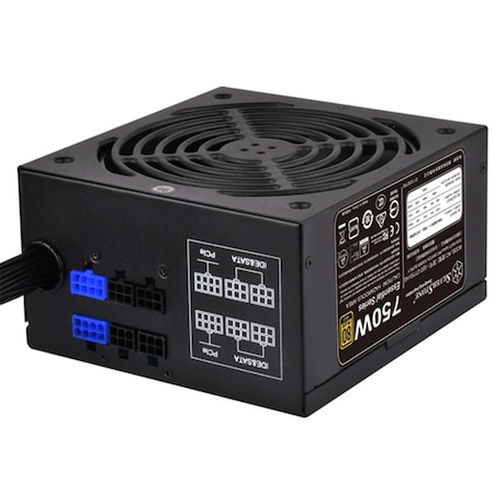 Silverstone 750 watt Semi-Modular 80 Plus Gold Computer Power Supply, Black ET750-HG