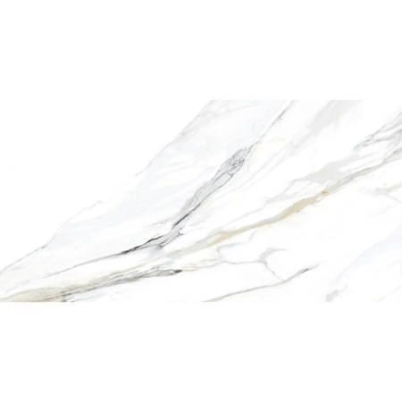 Andova Tiles Venataro 24x48 Polished Natural Stone/ Marble Large Format Porcelain Floor and Wall Tile, 2PK ANDVENA1481