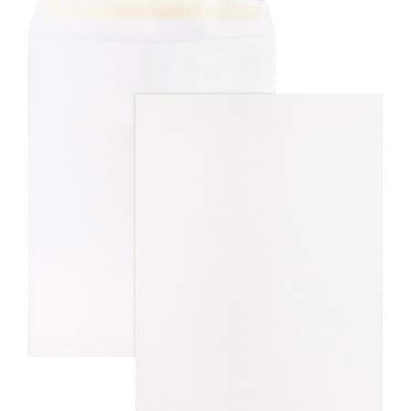 Business Source Filing Envelope, White, Wove, PK100 BSN65451
