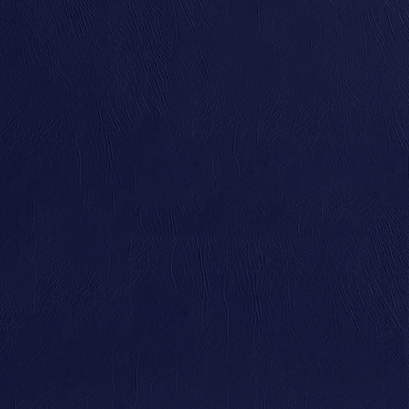 Seamtec Premium Patterned Vinyl, Rawhide Grain Pattern, Home Dcor, Marine, Navy Sample SEAMGDASCE305M9X9