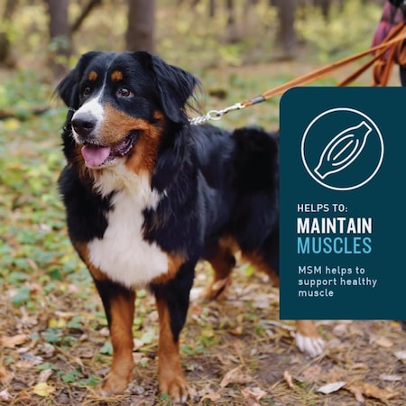 Vetiq 7.4 Oz. Chicken Flavored Hip & Joint Dog Chew, 60PK 183168