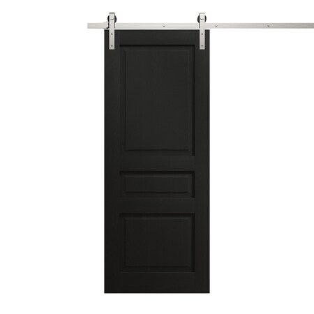 Sartodoors Modern Barn Door 32 x 96 inches, Ego 5012 Painted Black Oak, 6.6FT Silver Rail Track Heavy Hardwar EGO5012BD-S-CHK-3296
