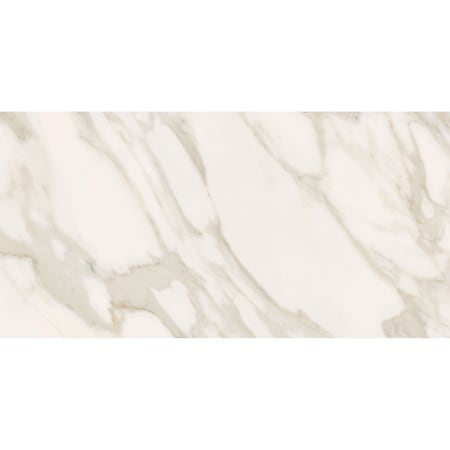 Andova Tiles Venataro 24x48 Polished Natural Stone/ Marble Large Format Porcelain Floor and Wall Tile, 2PK ANDVENA1480