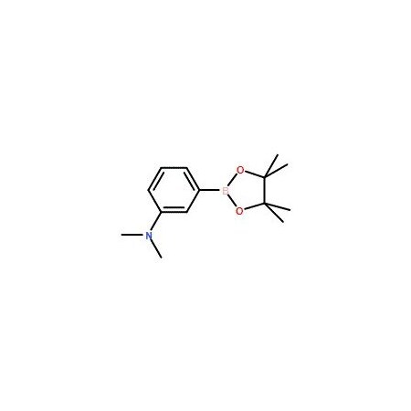 Ak Scientific 3-(N, N-Dimethylamino)phenylboronic acid pinacol ester (1g), CAS 325142-87-8 X0709-1g