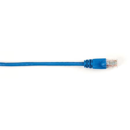 Serverusa CAT6 250 MHz Ethernet PVC Patch Cable - UTP, Snagless - Blue, 25 ft. SE841120