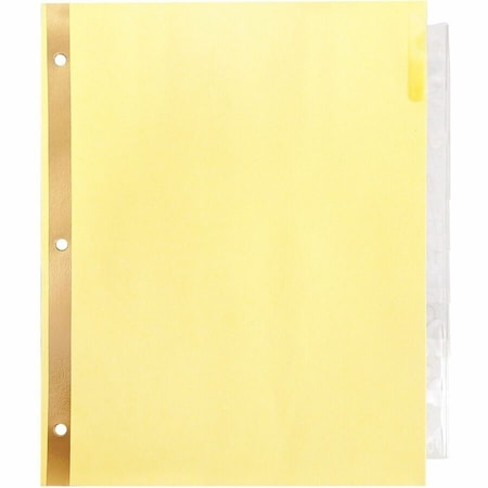 Business Source Insertable Tab Indexes, No Color, 8PK BSN36691
