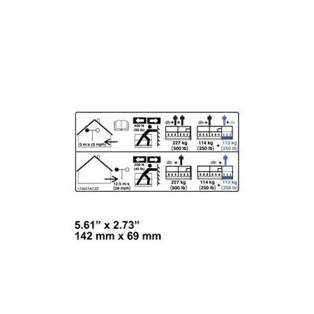 Skyjack REPLACEMENT LBL, VL, CAPACITY 500250/250 172657