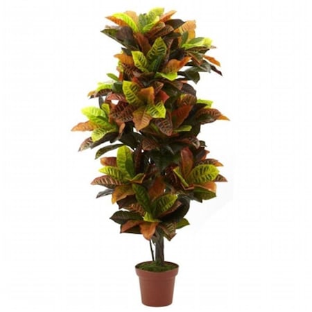 Dare2Decor 56 Inch Croton Plant - Real Touch DA59923