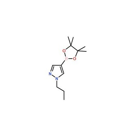 Ak Scientific 1-Propyl-1H-pyrazole-4-boronic acid pinacol ester (25g), CAS 827614-69-7 V0023-25g