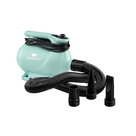Xpower XPOWER B-123 High Velocity Variable Speed Pet Dryer with 2-Stage Heat Settings - Mint Green B-123-Mint-Green
