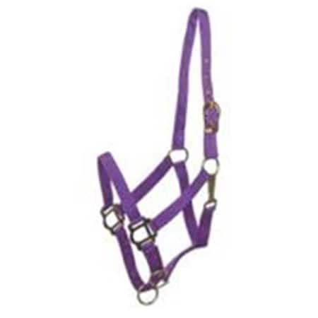 Choice Brands Gatsby Breakaway Halter Purple Horse - 401101-2960-3670 284048