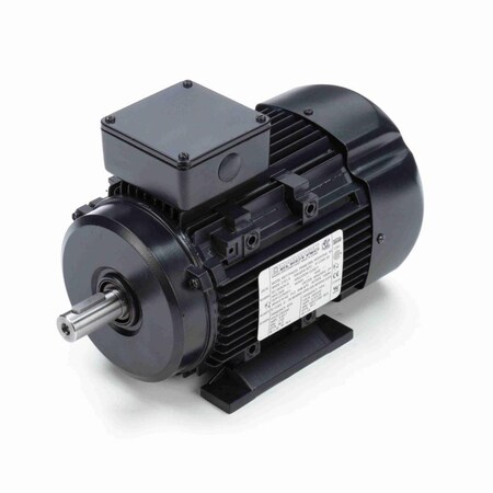 Marathon R319A IEC Electric Motor MR319A