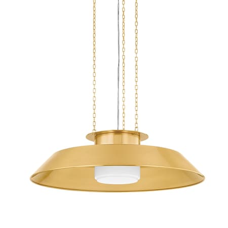 Hudson Valley Lighting Woodrow 32 in. Pendant Aged Brass 8832-AGB