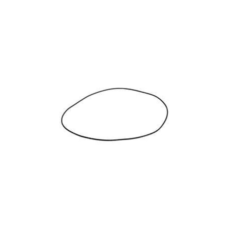 Case REPLACEMENT O-RING 100552A1
