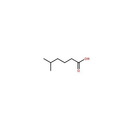 Ak Scientific 5-Methylhexanoic acid (5g), CAS 628-46-6 6997AE-5g