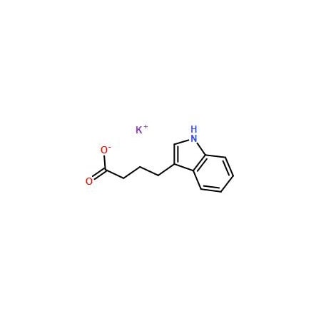 Ak Scientific Indole-3-butyric acid potassium salt (500g), CAS 60096-23-3 S456-500g