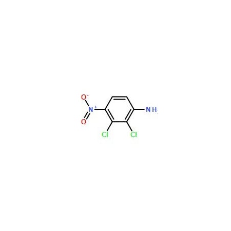 Ak Scientific 2, 3-Dichloro-4-nitroaniline (1g), CAS 69951-03-7 0830AC-1g