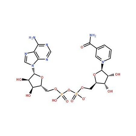 Ak Scientific Beta-nicotinamide adenine dinucleotide (1g), CAS 53-84-9 6614AF-1g