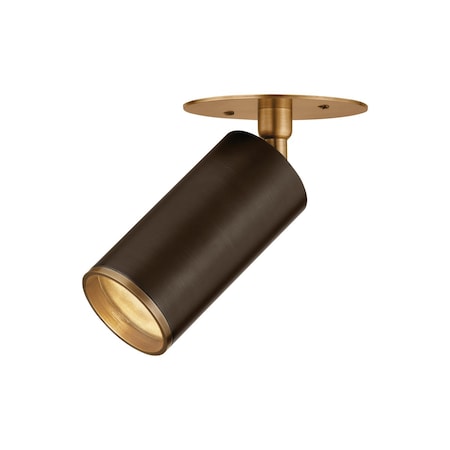 Troy Lighting Caleb 1 Light Flush Mount 4.75 In. Patina Brass/Bronze C1305-PBR/BRZ